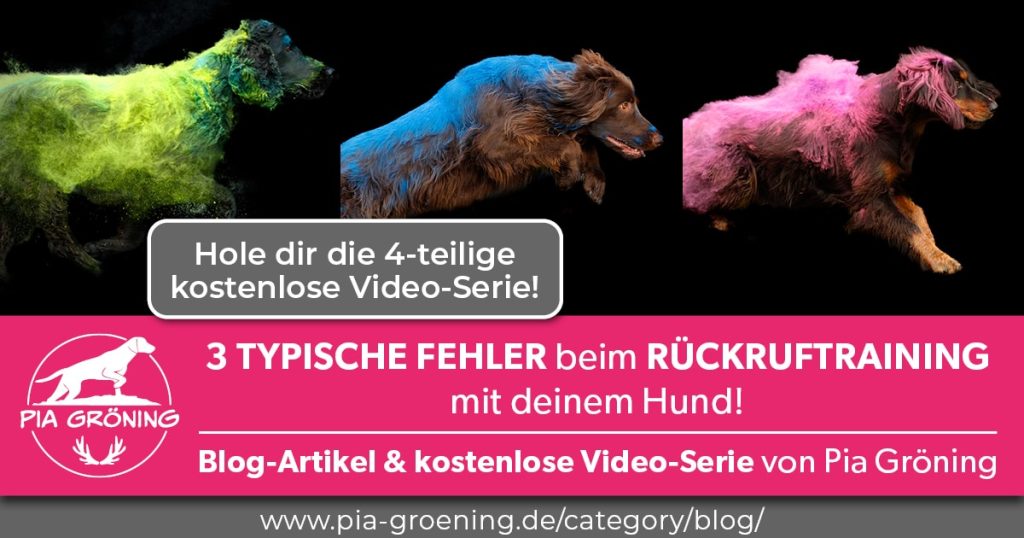 Video-Serie: 3 typische Fehler beim Rückruftraining mit deinem Hund