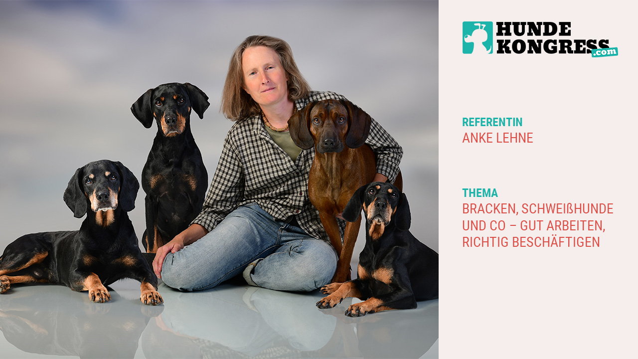 Anke Lehne: Bracken, Schweißhunde und Co - gut arbeiten, richtig beschäftigen