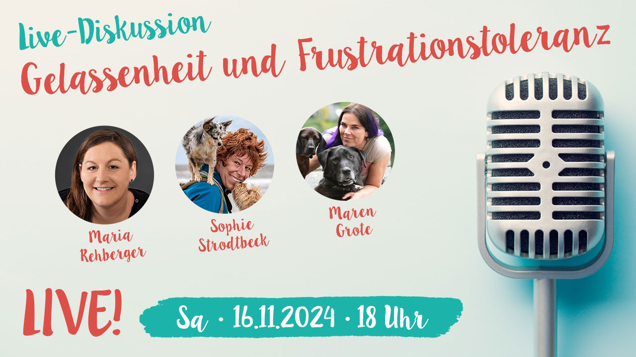 Live-Duskussion: Gelassenheit und Frustrationstoleranz